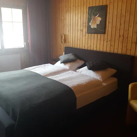 Schmitta Ξενοδοχείο Fiesch